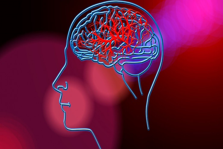 Ölüm anında   insan beynində nə baş verir?