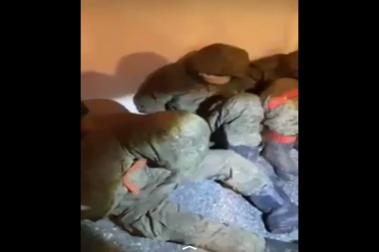 Ukraynanın əsir götürdüyü rus əsgərlərinin YENİ GÖRÜNTÜLƏRİ  -VİDEO 