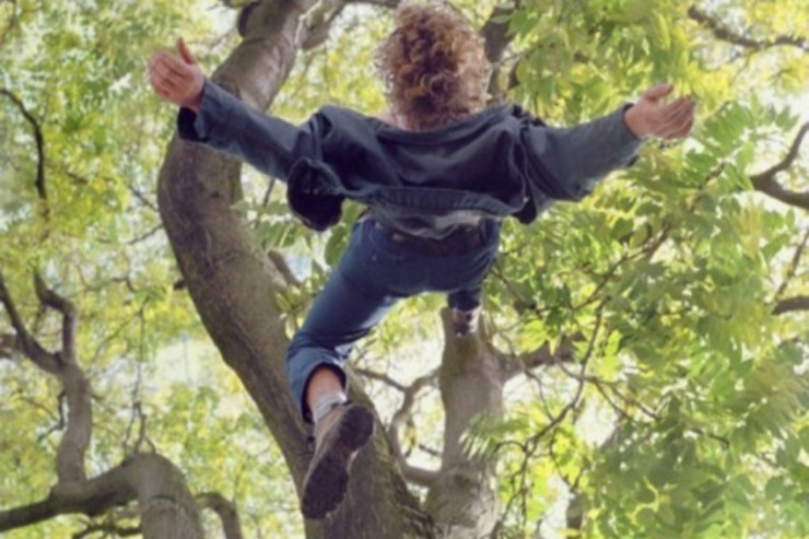 Zaqatalada ağacdan yıxılıb boynu sınan gənc  ÖLDÜ 