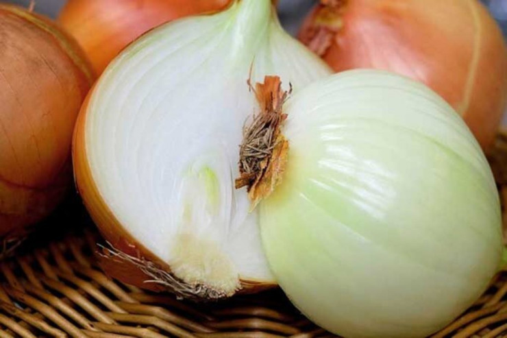 "Ağlatmayan"  SOĞAN növü yaradıldı