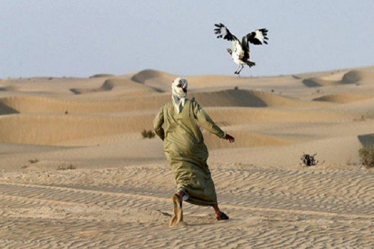 Qanunsuz ov edən ərəb  CƏRİMƏLƏNDİ 