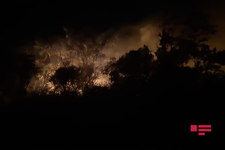 Şabrandakı yanğınla bağlı SON XƏBƏR -  VİDEO   - YENİLƏNİB 