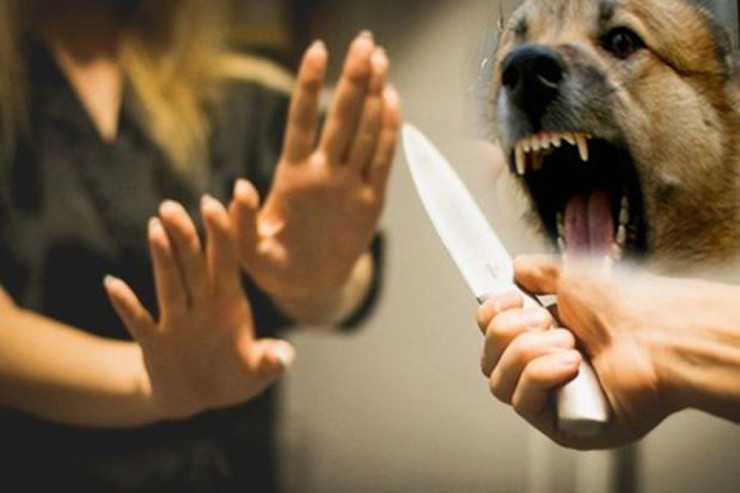 İtlə məşq edib qayınanasını bıçaqladı – Dəhşətli cinayətin TƏFƏRRÜATI 