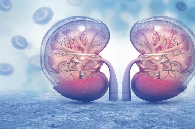 Tam  böyrək çatışmazlığının   əlamətləri