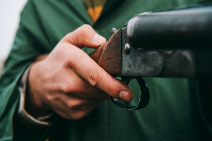 Pişiyi vurmaq  İSTƏDİ:   hamilə qadını  GÜLLƏLƏDİ 