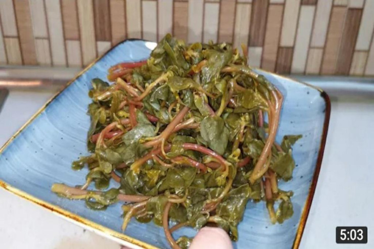 Ləzzətli  pərpətöyün   turşusunun hazırlanması: Lent.az-ın MƏTBƏXİNDƏ  