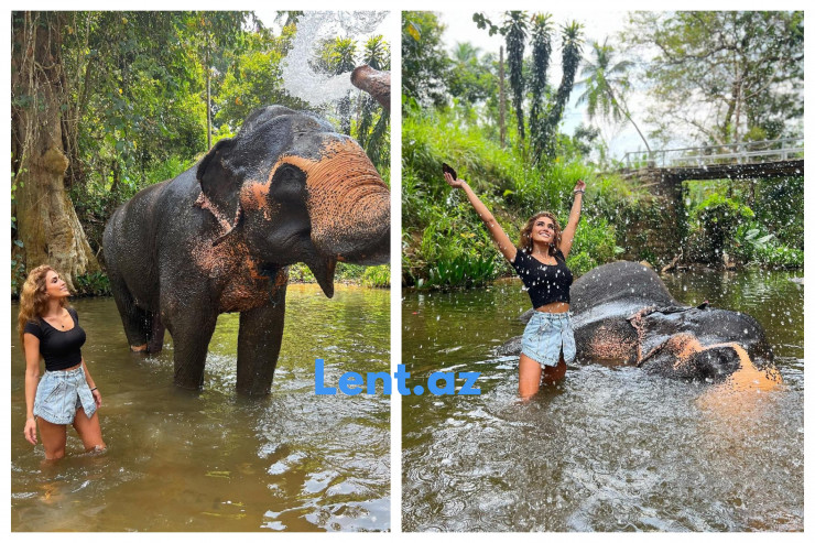 "Əslində biz insanlar daha acınacaqlı vəziyyətdəyik" -  Pərvin Abıyeva  