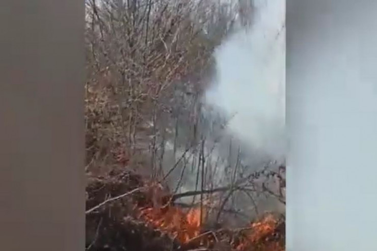 Oğuzda 1 hektardan çox meşə yandı - VİDEO 