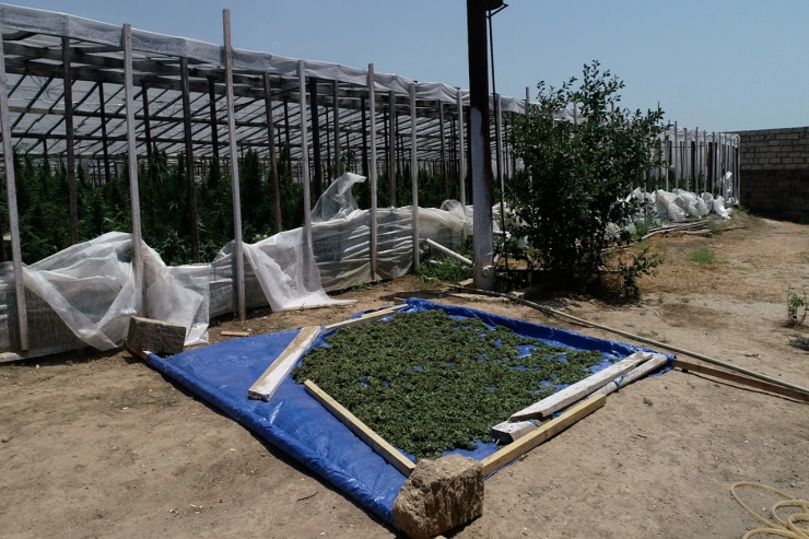 Götürülən narkotiklər