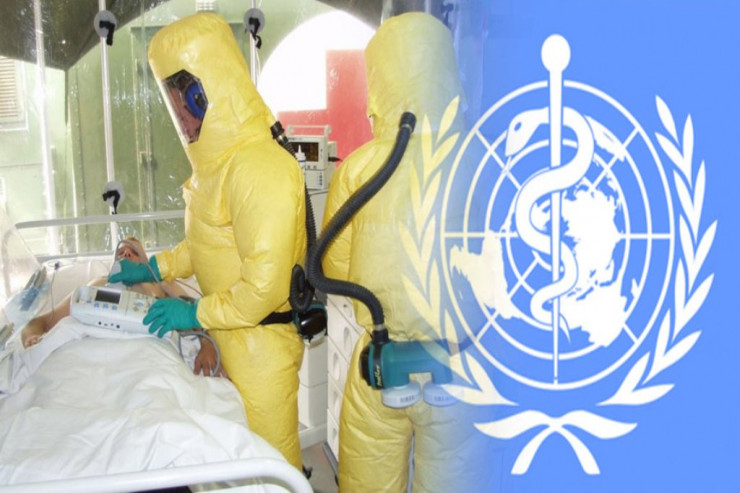 COVID-19 dünyada sonuncu  PANDEMİYA OLACAQ 