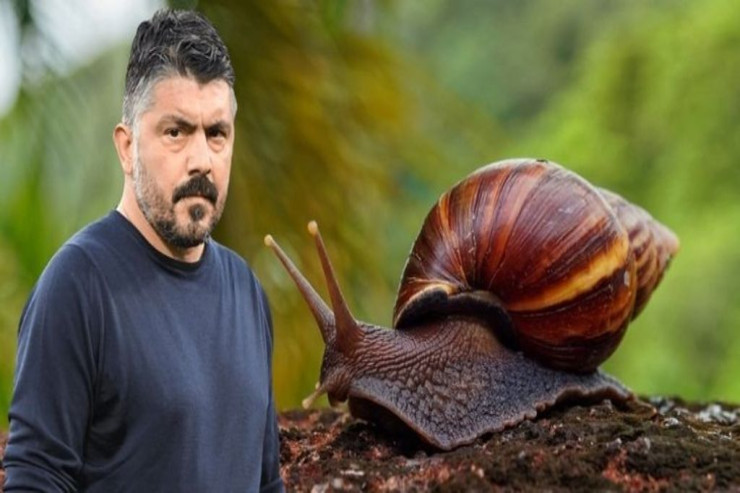 Pirlo 10 min avroya Qattuzoya ilbiz yedizdirdi - MƏRC 