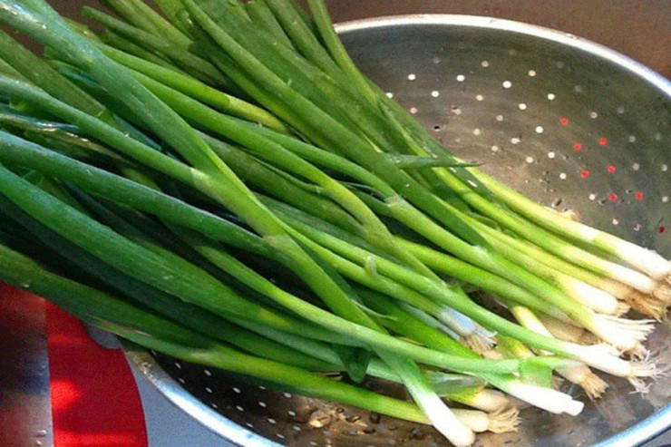 Kimlərə göy soğan yemək olmaz? - CAVAB 