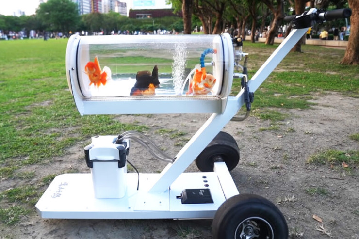 Balığını gəzdirmək üçün araba düzəltdi -VİDEO 