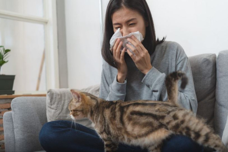 Pişikdən allergeya olan hamilə qadına maraqlı təklif 
