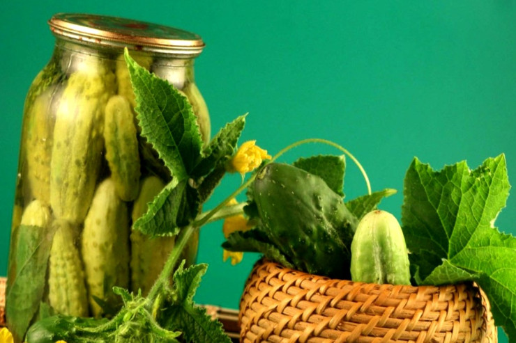 Duzlu xiyar istəyirsinizsə, bədəniniz bunu  TƏLƏB EDİR 