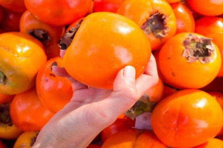 Kimlər  xurma yeməməli,   kakao içməməlidir?