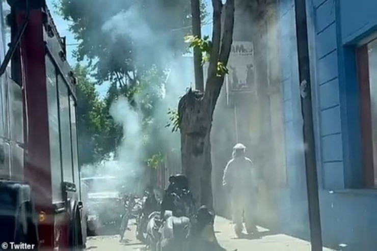 Arı sürüsü insanlara HÜCUM ETDİ 