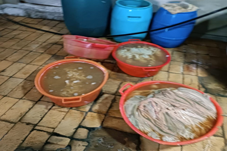 Bağırsaq emalı müəssisəsində RƏZALƏT 