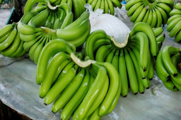 Yaşıl bananın BİLMƏDİYİMİZ FAYDALARI 