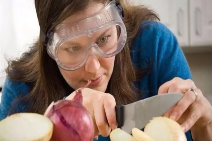 Soğan doğrayarkən  niyə gözlərimiz yaşarır?