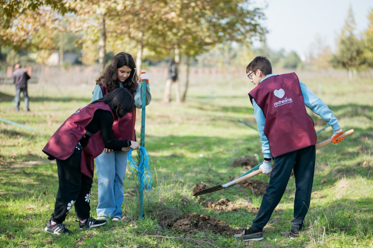 ® Daha 6 rayonda “Vətən Bağı” yaradıldı