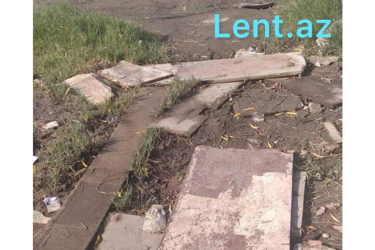 Bakının ortasında karton yol:  DƏHŞƏTƏ GƏLƏCƏKSİZ 