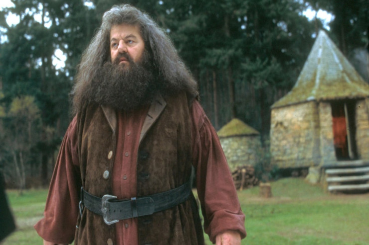 "Harri Potter"in məşhur aktyoru  vəfat etdi