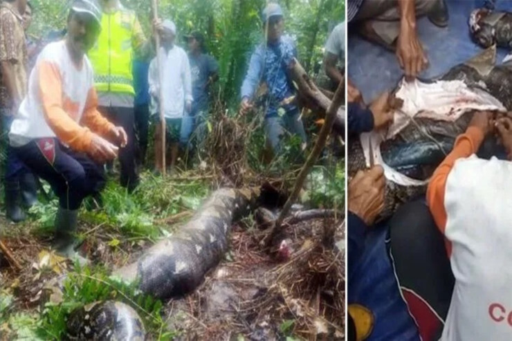 İki gündür yoxa çıxan qadın  ilanın qarnında   TAPILDI