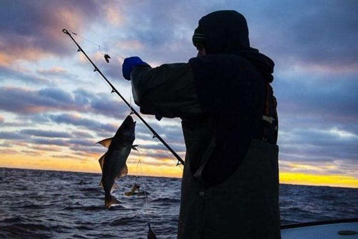Balığın elektrikli tilovuna özü düşdü - Tovuzda 
