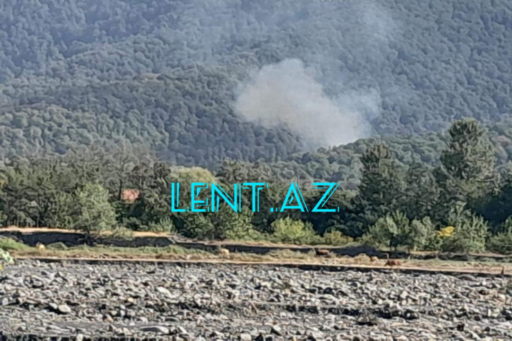 Zaqatalada daha bir dağda yanğın başladı - VİDEO 