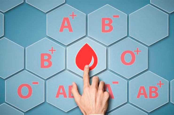 Virusa yoluxub sağalan şəxs donor ola bilər? -  MÜSAHİBƏ 