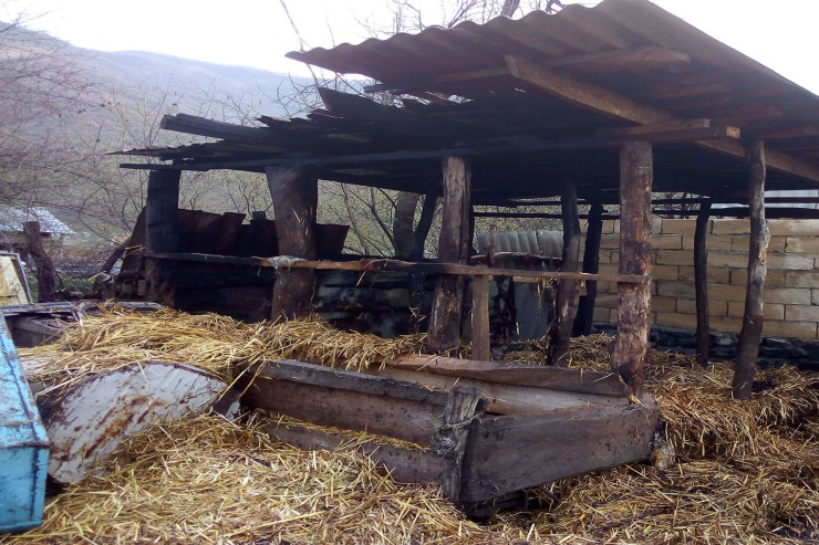 Azərbaycanda DƏHŞƏT: 17 yaşlı qızın  tövlədə meyiti tapıldı 