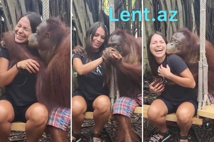 Meymun qızın sinəsinə...  - Hamı bu videodan danışır