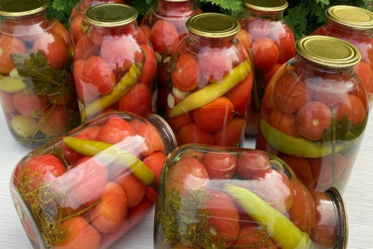 Bu reseptlə pomidor turşusu   xarab olmayacaq - Lent.az-ın MƏTBƏXİNDƏ  
