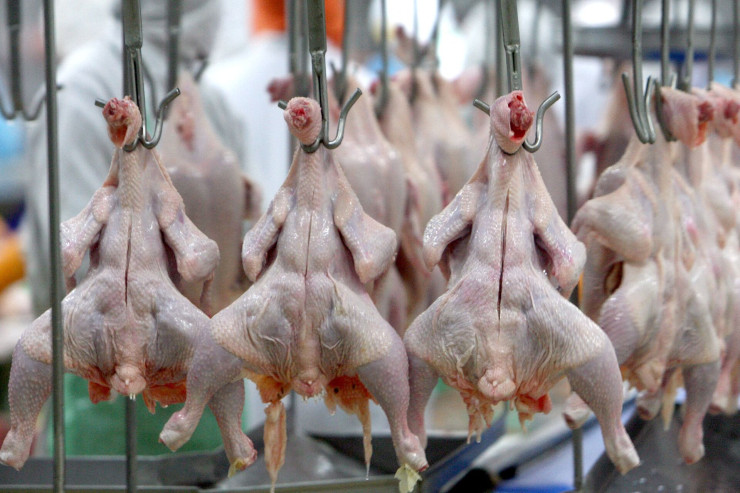 Azərbaycan quş ətinin idxalına MƏHDUDİYYƏT QOYUB 