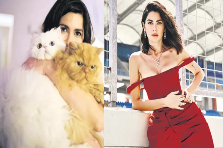 Azərbaycanlı aktrisa türk qonşuları ilə  pişik üstündə   dava edib?