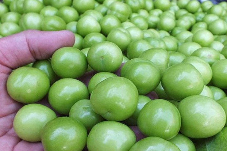 Azərbaycanda 10 yaşlı qız alçadan zəhərlənib öldü 