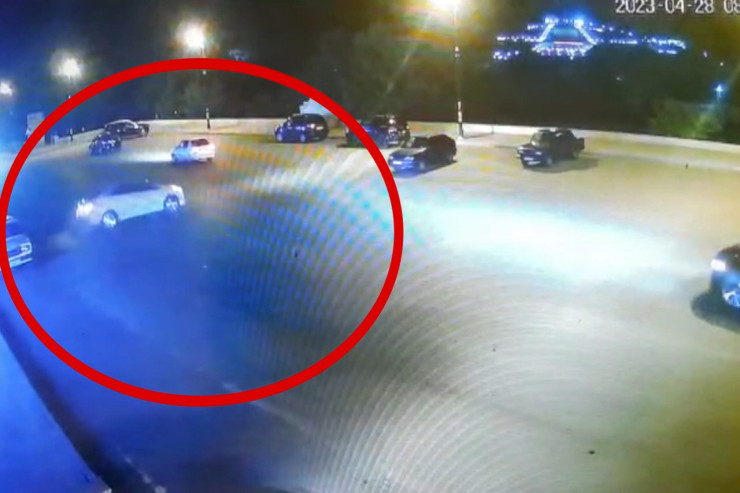 Toy karvanında "avtoş"luq edirdi, həbs olundu - VİDEO 