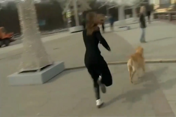 İt canlı yayımda  jurnalistin mikrofonunu   OĞURLADI - VİDEO 