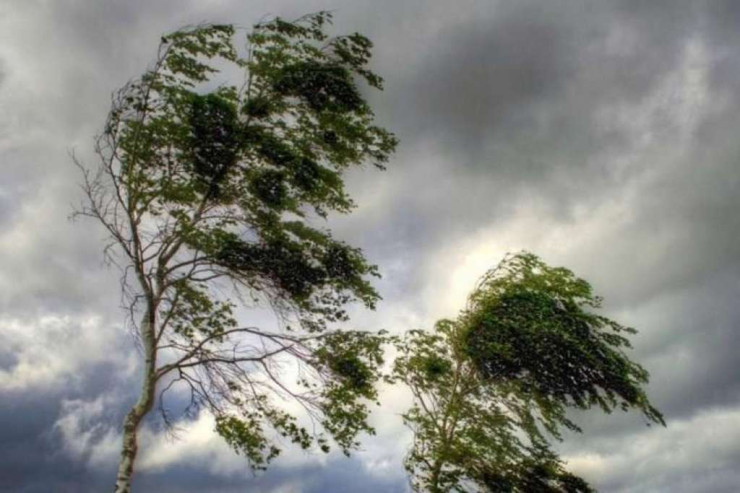 Azərbaycanda 2 gün  güclü külək   əsəcək - RƏSMİ 