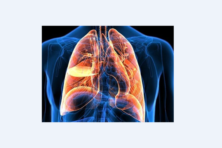 Ağciyərlərin  BU FUNKSİYASI  da məlum oldu