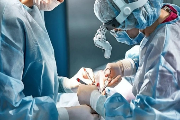 Nadir əməliyyat:  Donuz böyrəyi insana köçürüldü
