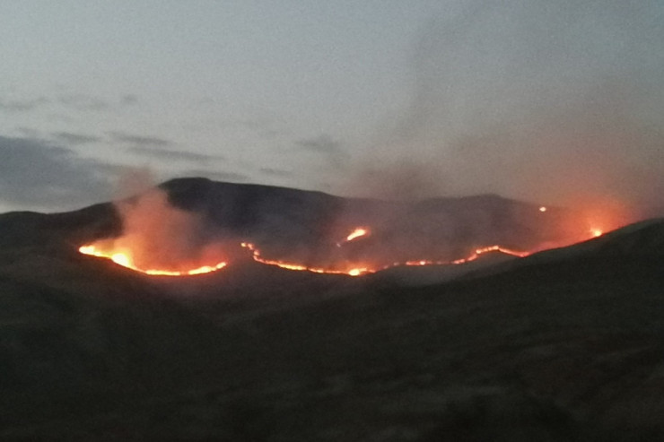 Siyəzən dağları qəsdən yandırılıb - RƏSMİ  - FOTO 