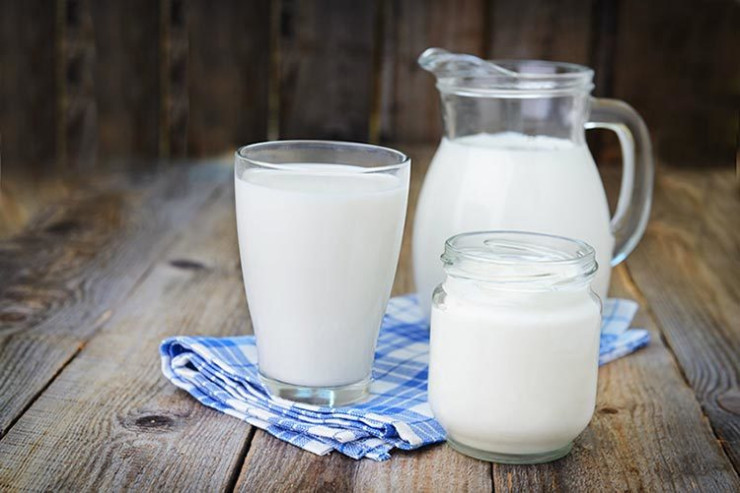 Süd orqanizm üçün zərərlidir?