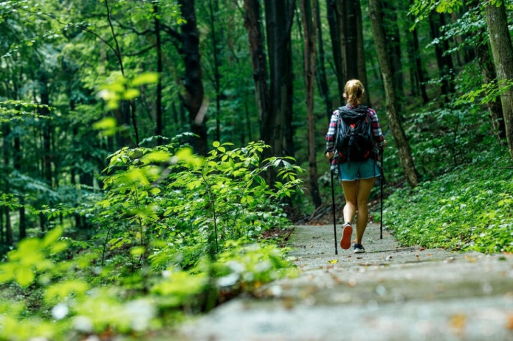 Daun sindromu zamanı əqli bacarıqlar bu üsulla  təkmilləşdirilə bilər