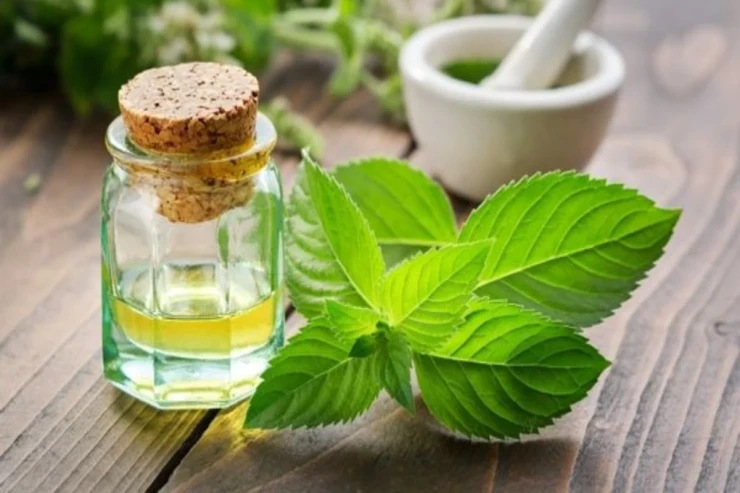 Yastığa bu yağı vurun -  İNANILMAZ FAYDA  