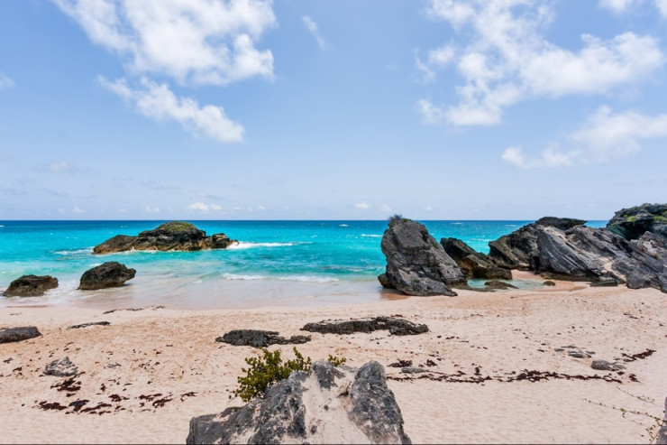 Alimlər Atlantik okeanının rekord dərəcədə istiləşməs barədə xəbərdarlıq edirlər