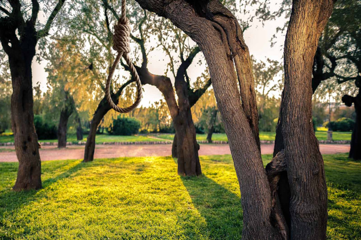 Göyçayda DƏHŞƏT:  kəndlilər əncir ağacından asılmış meyit tapdılar 