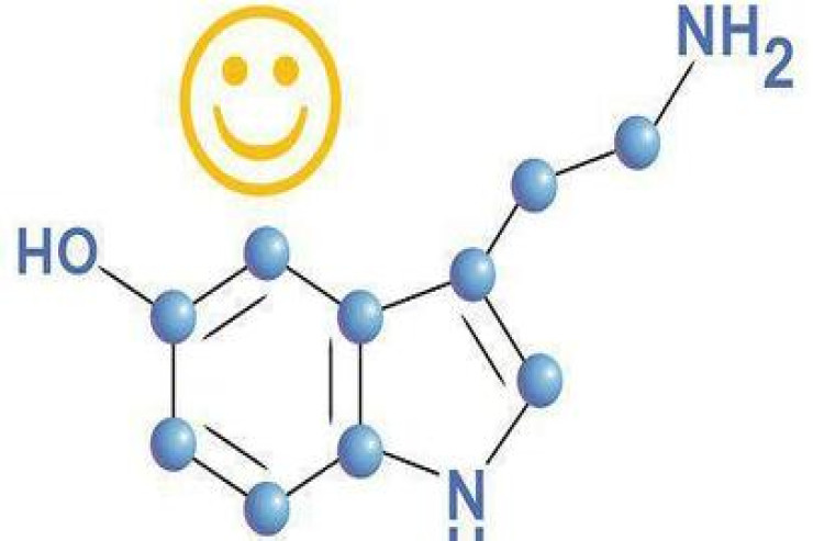 Xoşbəxtlik hormonlarını BU QİDALARDA AXTARIN 