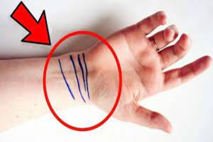 Biləyimizdəki  xətlərin   mənası – Gələcəyini  görmək   istəyənlərin NƏZƏRİNƏ